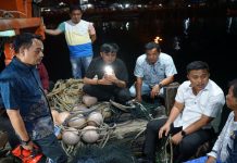 Efek Jera jadi Harapan Nelayan Tradisional Usai Penangkapan Kapal Pukat Harimau di Sumbar