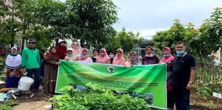 Dosen UNAND Siap Membantu Usaha Kelompok Kebun Ibu-Ibu PKK Kelurahan Limau Manis Selatan, Kecematan Pauh Kota Padang