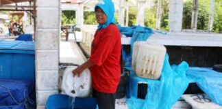 Kartini Masa Kini, Bermodal Menjual Air Laut Ernawati Berhasil Hantarkan Anaknya Raih Gelar Sarjana