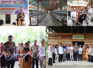 TAK MENUNTUT UNTUK DIPUJI, HANYA UNTUK DIHARGAI