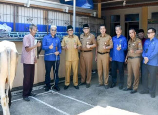 Perumda Air Minum Kota Padang Bagikan Hewan Qurban untuk Idul Adha