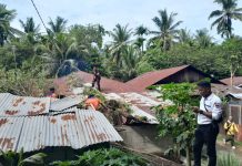 Pohon Durian Tumbang Timpa Rumah Warga di Koto Lalang