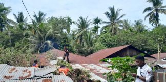 Pohon Durian Tumbang Timpa Rumah Warga di Koto Lalang