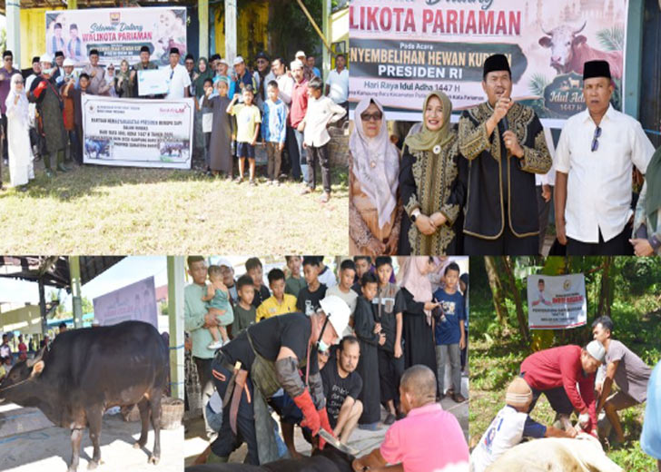 Wako dan Wawako Pariaman Tinjau Penyembelihan Sapi Kurban Bantuan Presiden