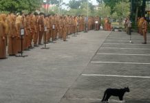 Pemko Padang Terapkan WFA bagi ASN Selama Libur Nyepi dan Idul Fitri