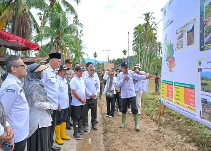 Rehabilitasi Lahan Rusak Ringan dan Sedang di Sumbar Tuntas
