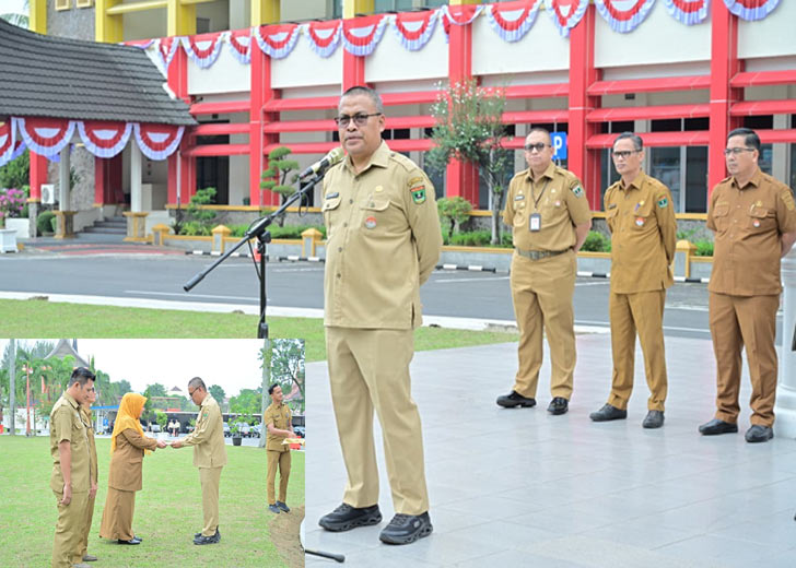 gambar-42