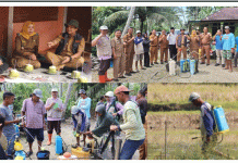 Antisipasi Gagal Panen, Pemko Pariaman Lakukan Penyemprotan Wereng
