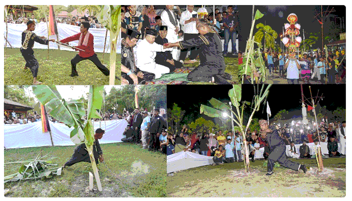 Prosesi Manabang Batang Pisang 2026 Berbeda dari Tahun Sebelumnya di kota Pariaman