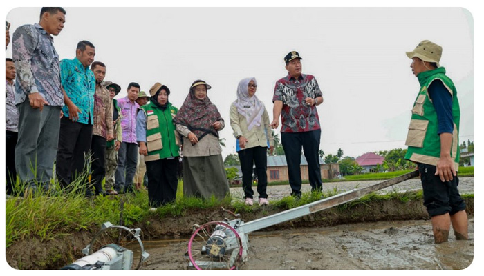Pemko Pariaman Gelar Tanam Perdana Padi Teknologi PM-AAS di Kelompok Tani “Kito Samolah”
